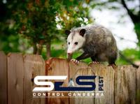 SES Possum Removal Canberra image 7